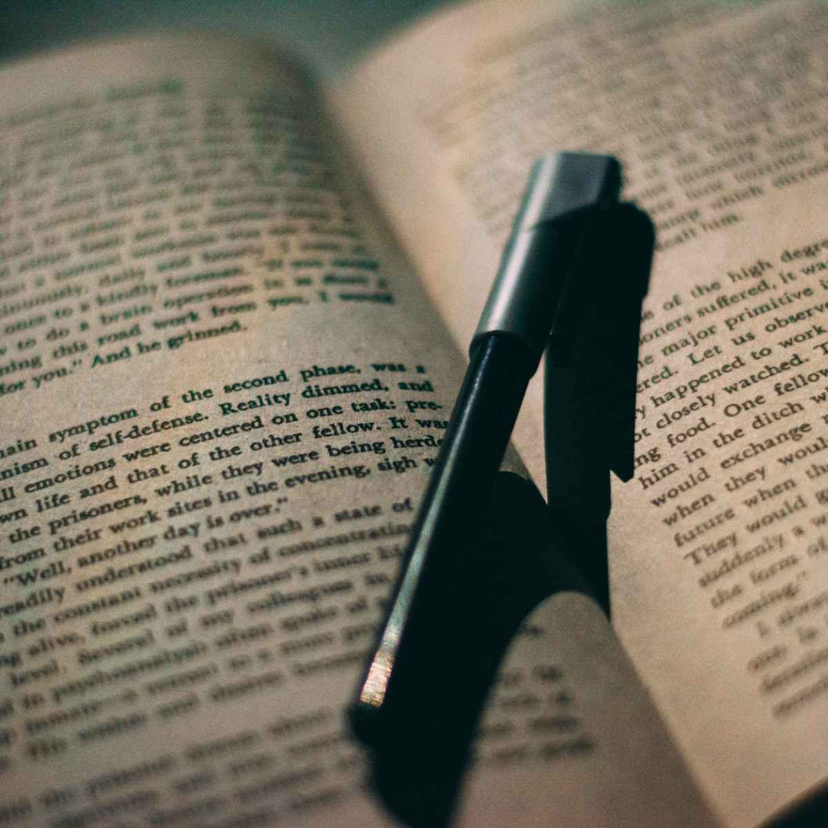 Les types de textes en&nbsp;français